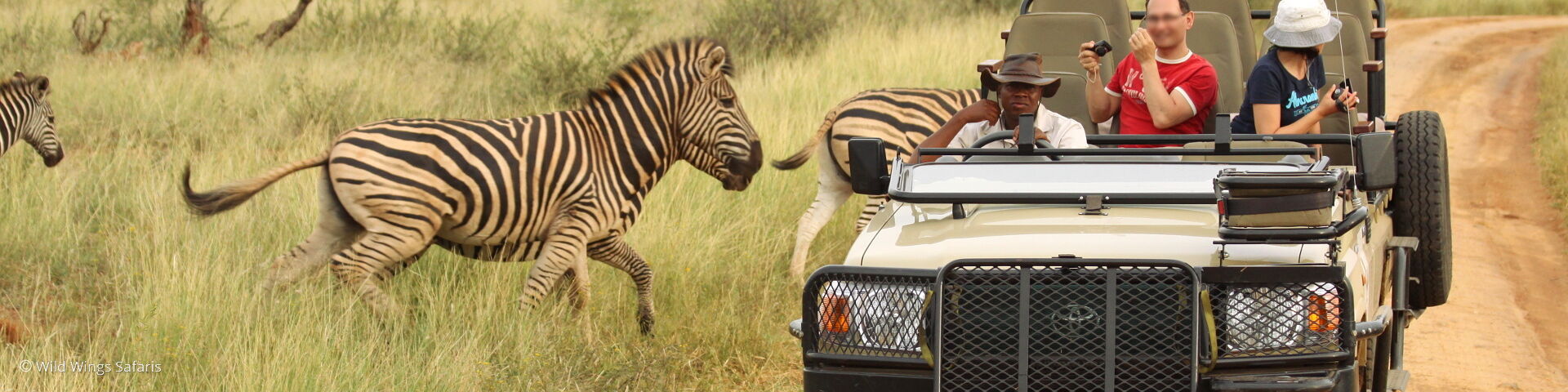 Comparing Safaris