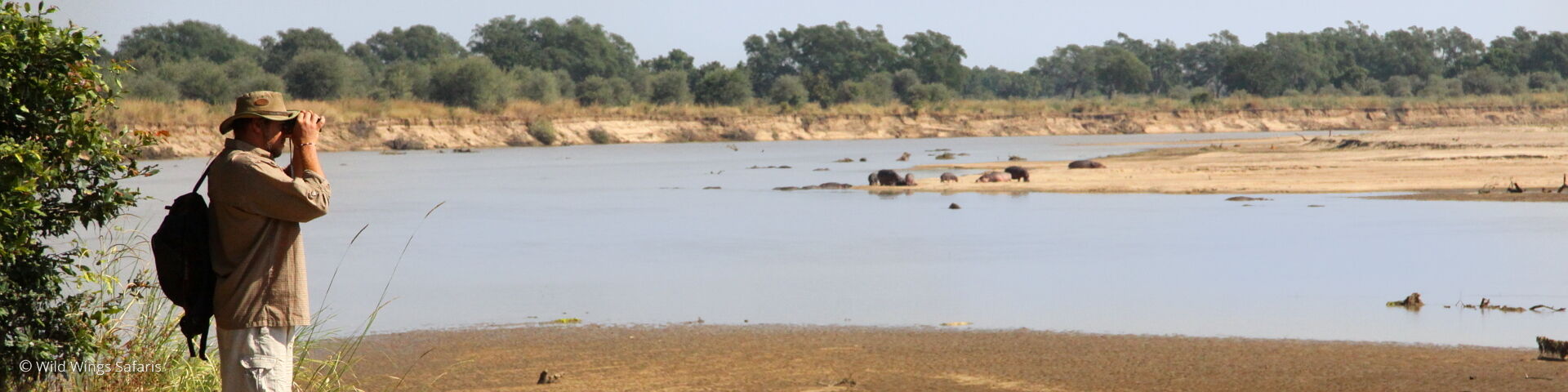 Zambia North and South Luangwa Safari