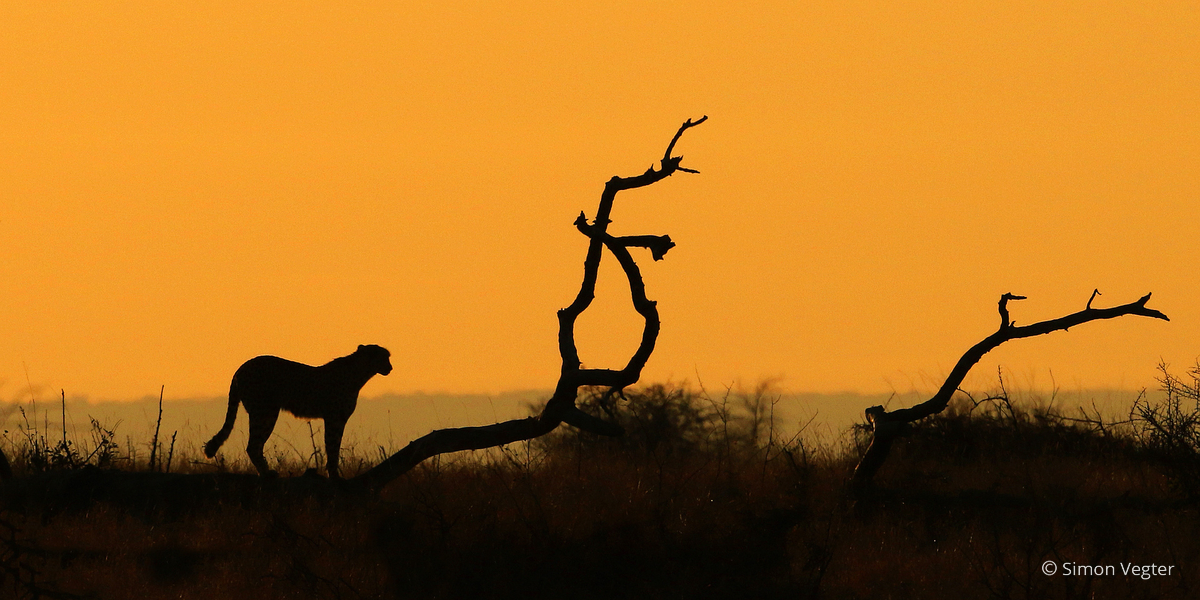 3 Day Kruger Park Safari